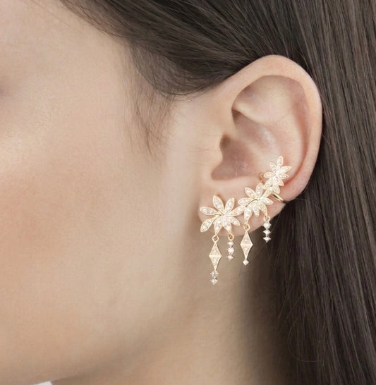 מטפס עלים זהב